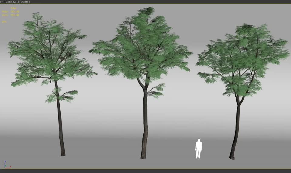 风吹效果的动态植物树木点缓存模型09模型-树木模型库-3ds Max(.max)模型下载-cg模型网
