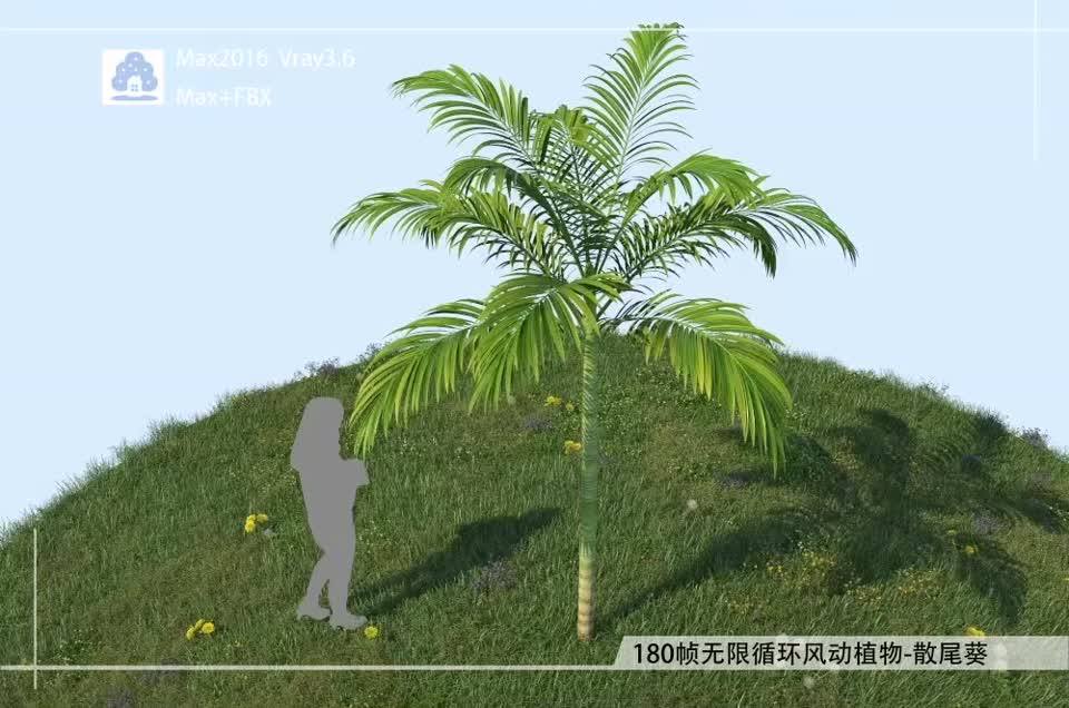 180帧无限循环风动植物-散尾葵FDGM0101-02模型-自然场景模型库-3ds Max(.max)模型下载-cg模型网
