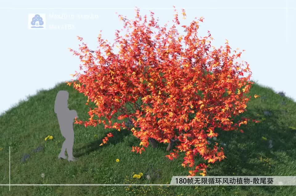 180帧无限循环风动植物-蝴蝶日本枫FDQM0201-01模型-自然场景模型库-3ds Max(.max)模型下载-cg模型网
