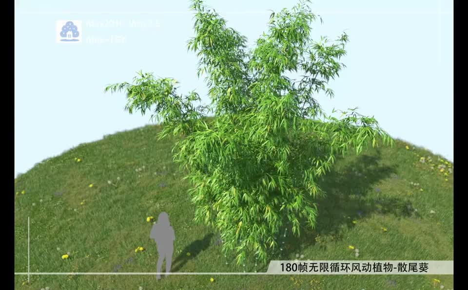 180帧无限循环风动植物-竹子FDQM0001-02模型-自然场景模型库-3ds Max(.max)模型下载-cg模型网