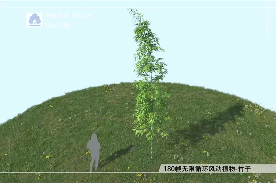 180帧无限循环风动植物-竹子03模型-自然场景模型库-3ds Max(.max)模型下载-cg模型网