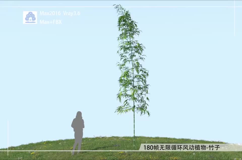 180帧无限循环风动植物-竹子03模型-自然场景模型库-3ds Max(.max)模型下载-cg模型网