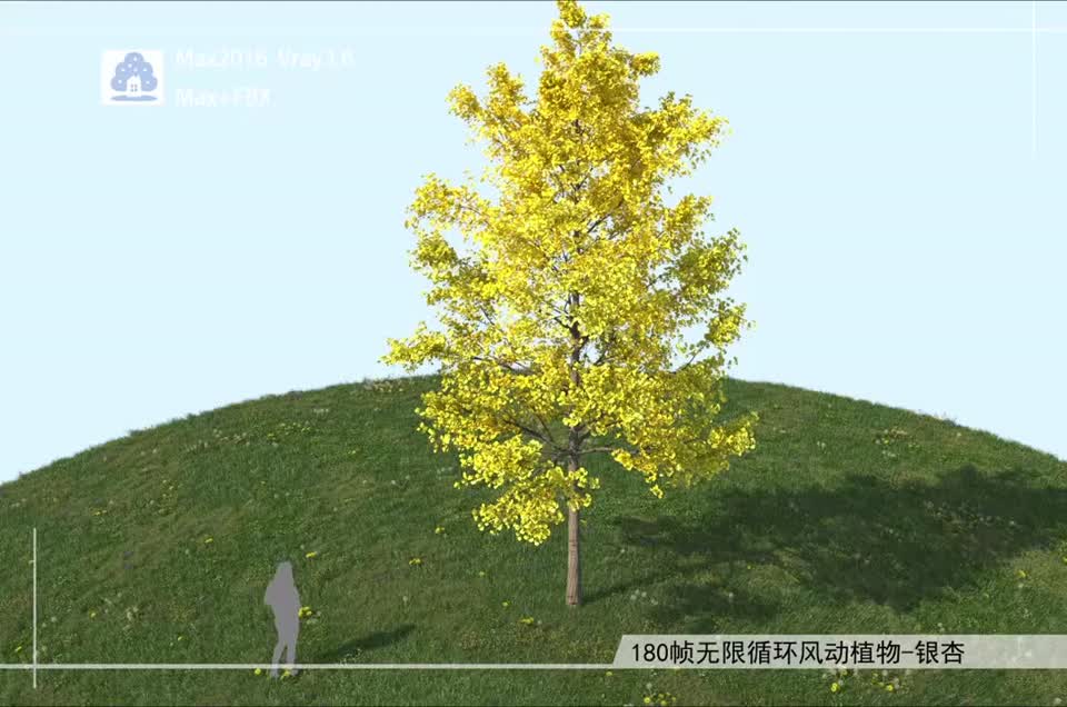 180帧无限循环风动植物-银杏01模型-自然场景模型库-3ds Max(.max)模型下载-cg模型网