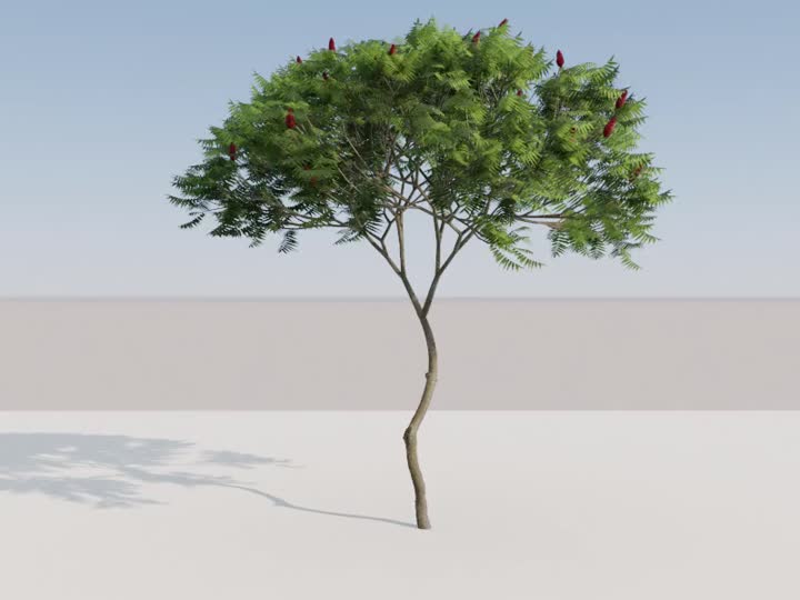 动态树 动态植物模型-树木模型库-3ds Max(.max)模型下载-cg模型网