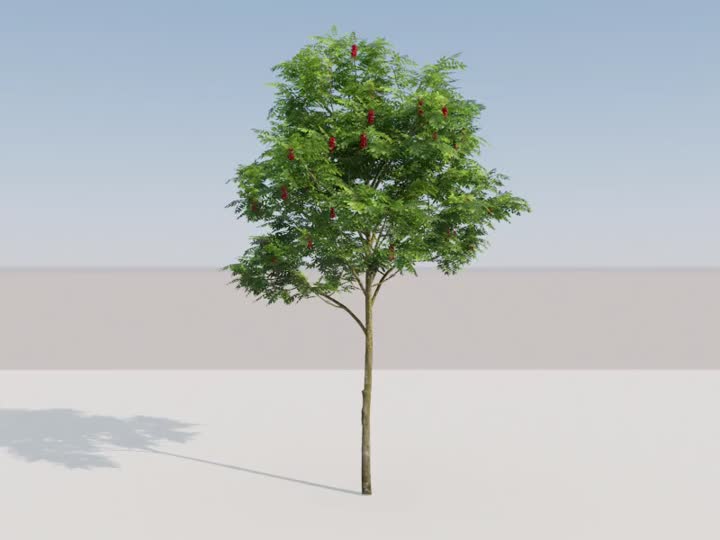 动态树 动态植物模型-树木模型库-3ds Max(.max)模型下载-cg模型网