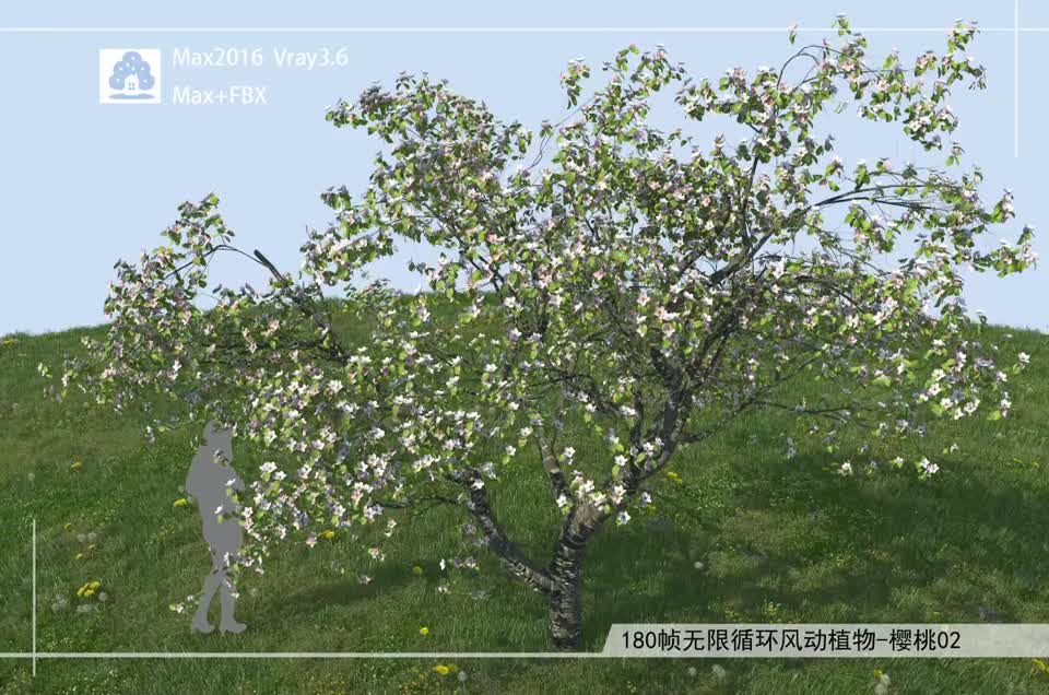 180帧无限循环风动植物-樱桃02模型-自然场景模型库-3ds Max(.max)模型下载-cg模型网