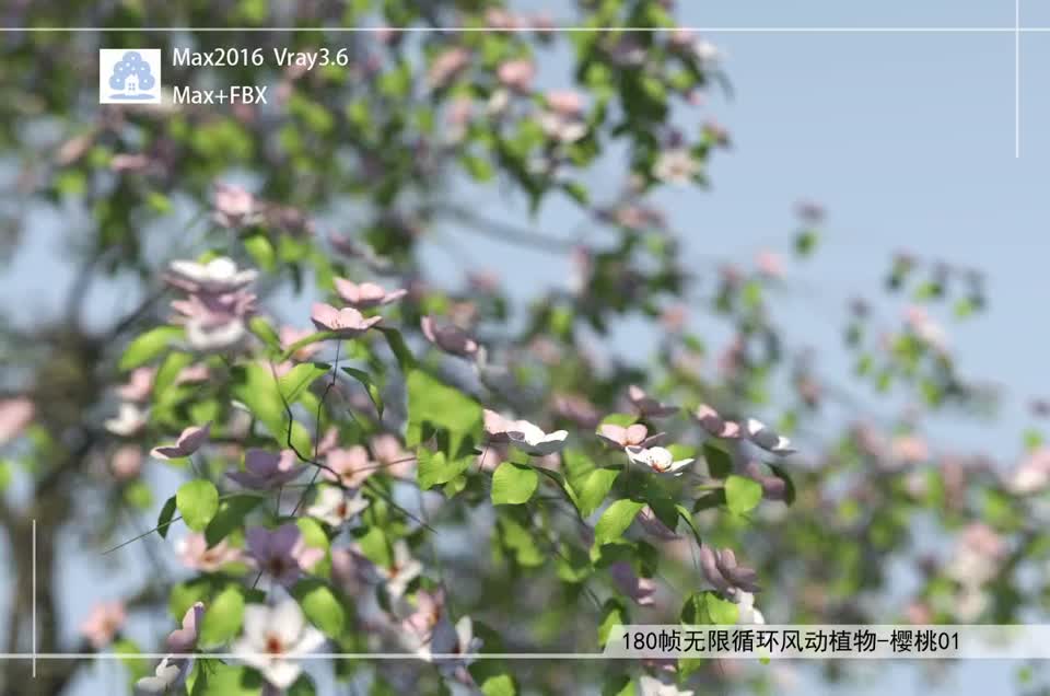 180帧无限循环风动植物-樱桃01模型-自然场景模型库-3ds Max(.max)模型下载-cg模型网
