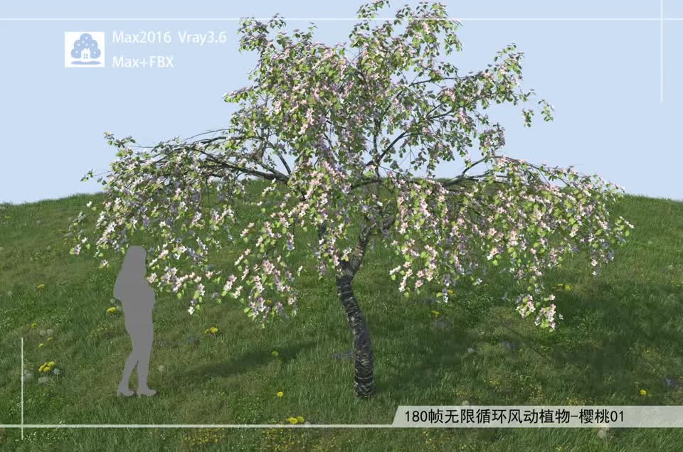 180帧无限循环风动植物-樱桃01模型-自然场景模型库-3ds Max(.max)模型下载-cg模型网