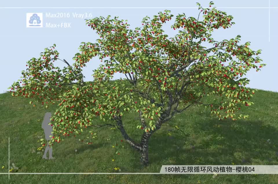 180帧无限循环风动植物-樱桃04模型-自然场景模型库-3ds Max(.max)模型下载-cg模型网