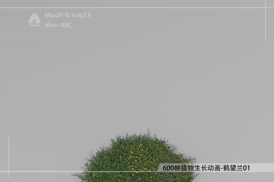 600帧植物生长动画-鹤望兰01模型-自然场景模型库-3ds Max(.max)模型下载-cg模型网