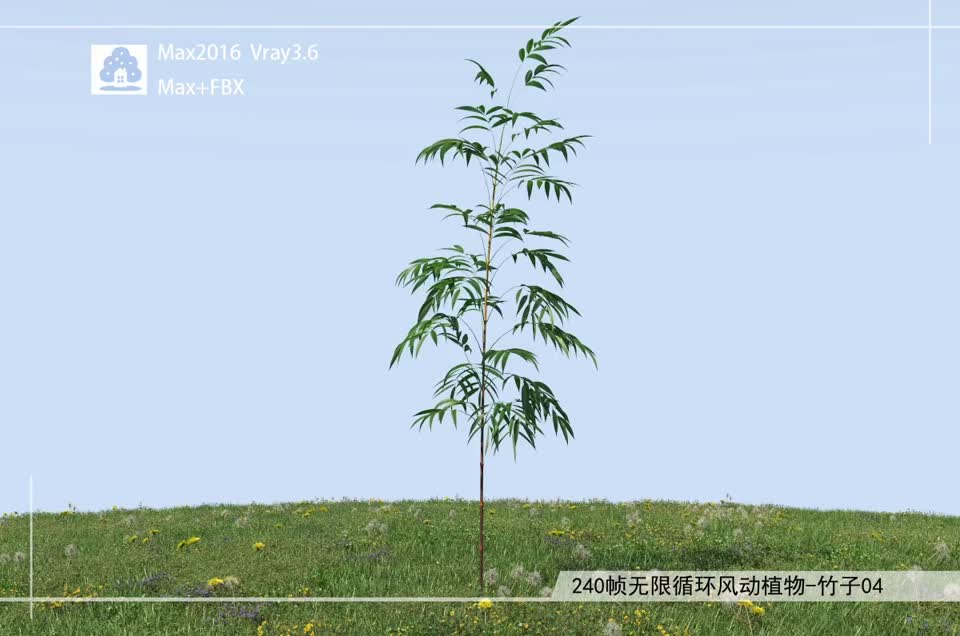 240帧无限循环风动植物-竹子04模型-自然场景模型库-3ds Max(.max)模型下载-cg模型网