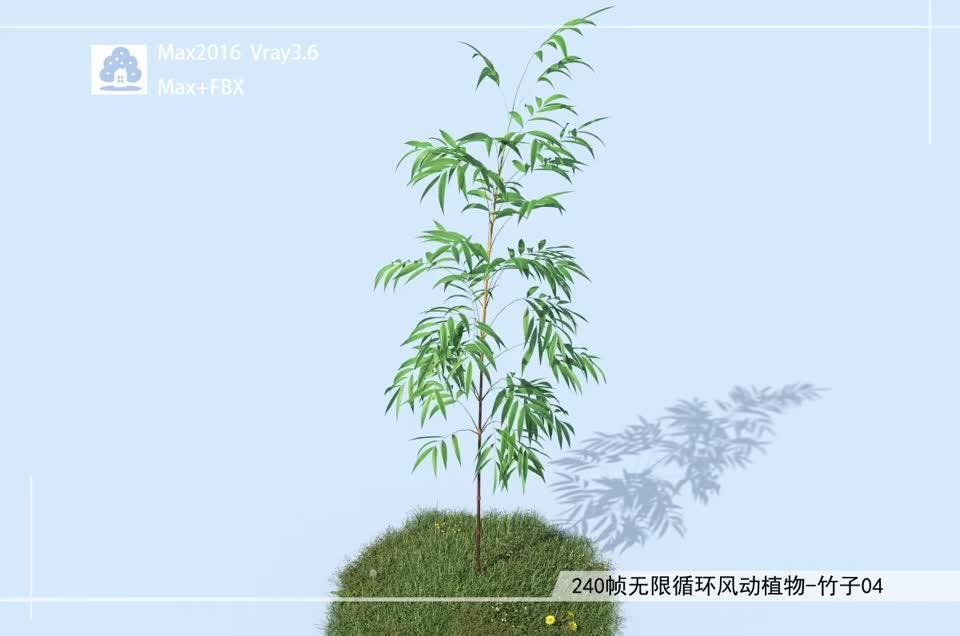 240帧无限循环风动植物-竹子04模型-自然场景模型库-3ds Max(.max)模型下载-cg模型网