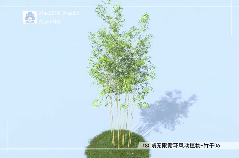 180帧无限循环风动植物-竹子06模型-自然场景模型库-3ds Max(.max)模型下载-cg模型网