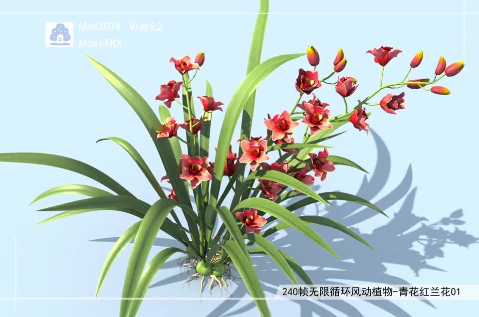 240帧无限循环风动植物-青花红兰FDCB0501-01模型-自然场景模型库-3ds Max(.max)模型下载-cg模型网