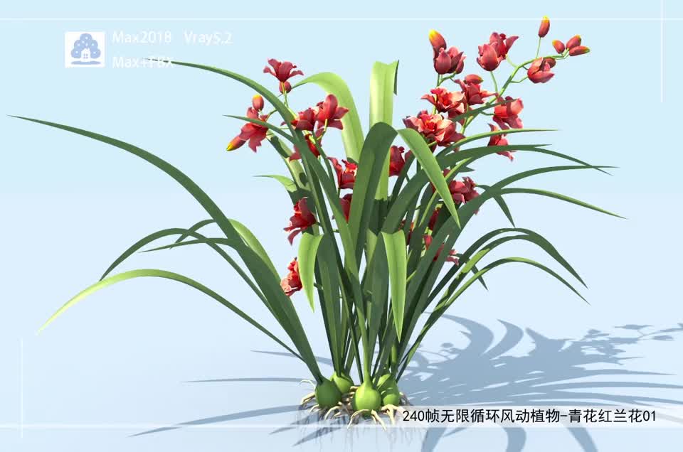 240帧无限循环风动植物-青花红兰FDCB0501-01模型-自然场景模型库-3ds Max(.max)模型下载-cg模型网