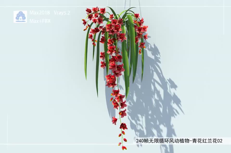 240帧无限循环风动植物-青花红兰花02模型-自然场景模型库-3ds Max(.max)模型下载-cg模型网