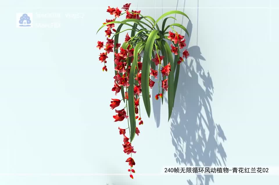 240帧无限循环风动植物-青花红兰花02模型-自然场景模型库-3ds Max(.max)模型下载-cg模型网