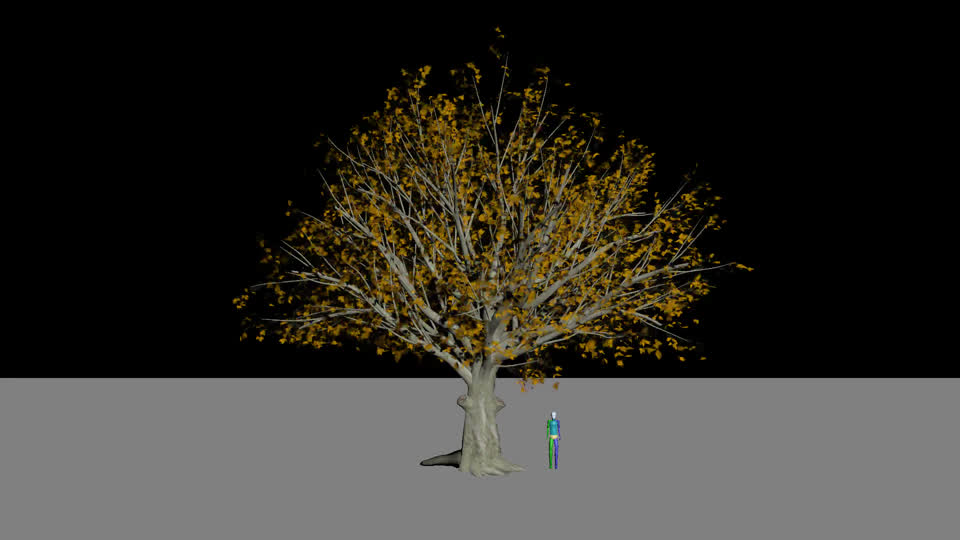 秋叶 树动画模型-树木模型库-3ds Max(.max)模型下载-cg模型网