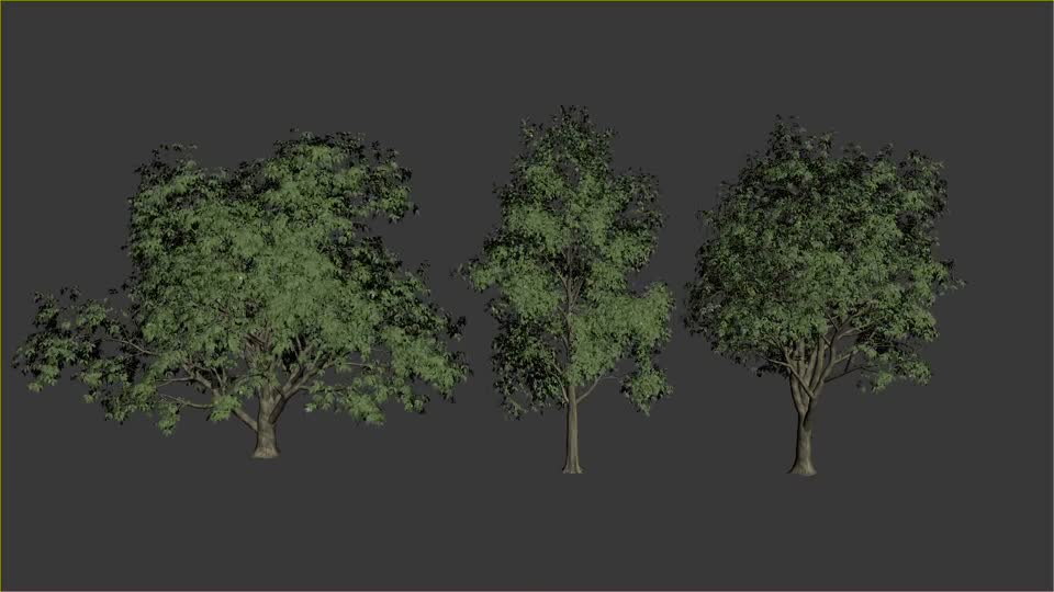 300帧 景观园林常用模型-树木模型库-3ds Max(.max)模型下载-cg模型网