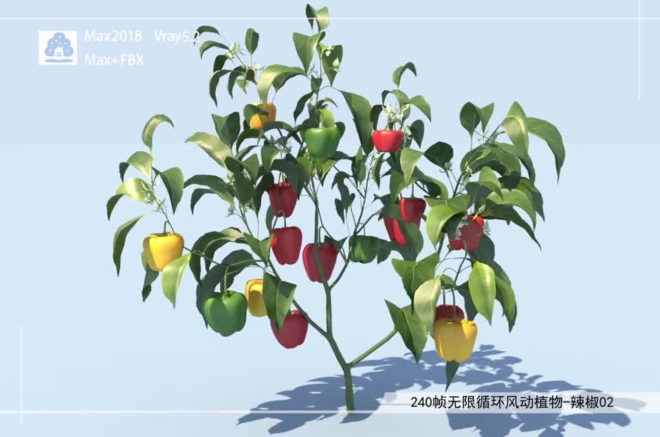240帧无限循环风动植物-辣椒02模型-自然场景模型库-3ds Max(.max)模型下载-cg模型网
