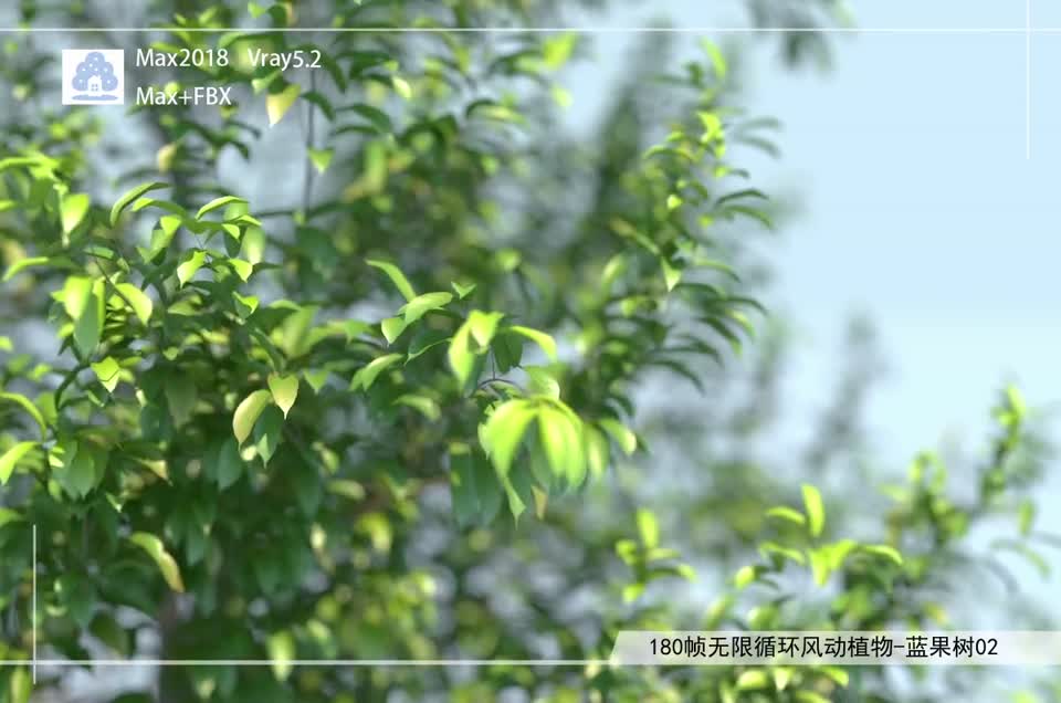 180帧无限循环风动植物-蓝果树02模型-自然场景模型库-3ds Max(.max)模型下载-cg模型网
