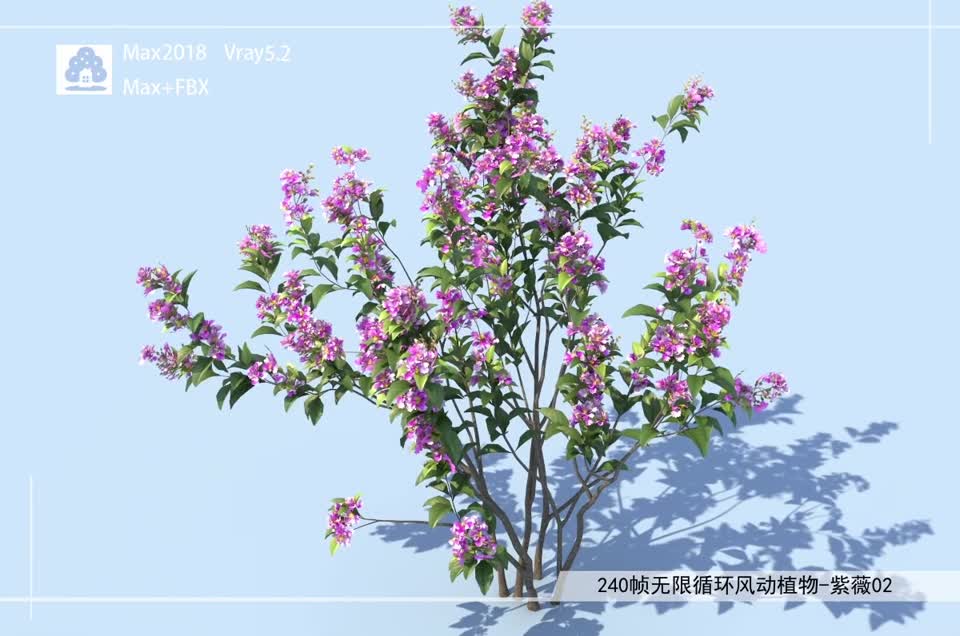 240帧无限循环风动植物-紫薇02模型-自然场景模型库-3ds Max(.max)模型下载-cg模型网