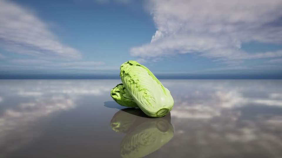 百菜之王 大白菜模型-水果蔬菜模型库-3ds Max(.max)模型下载-cg模型网
