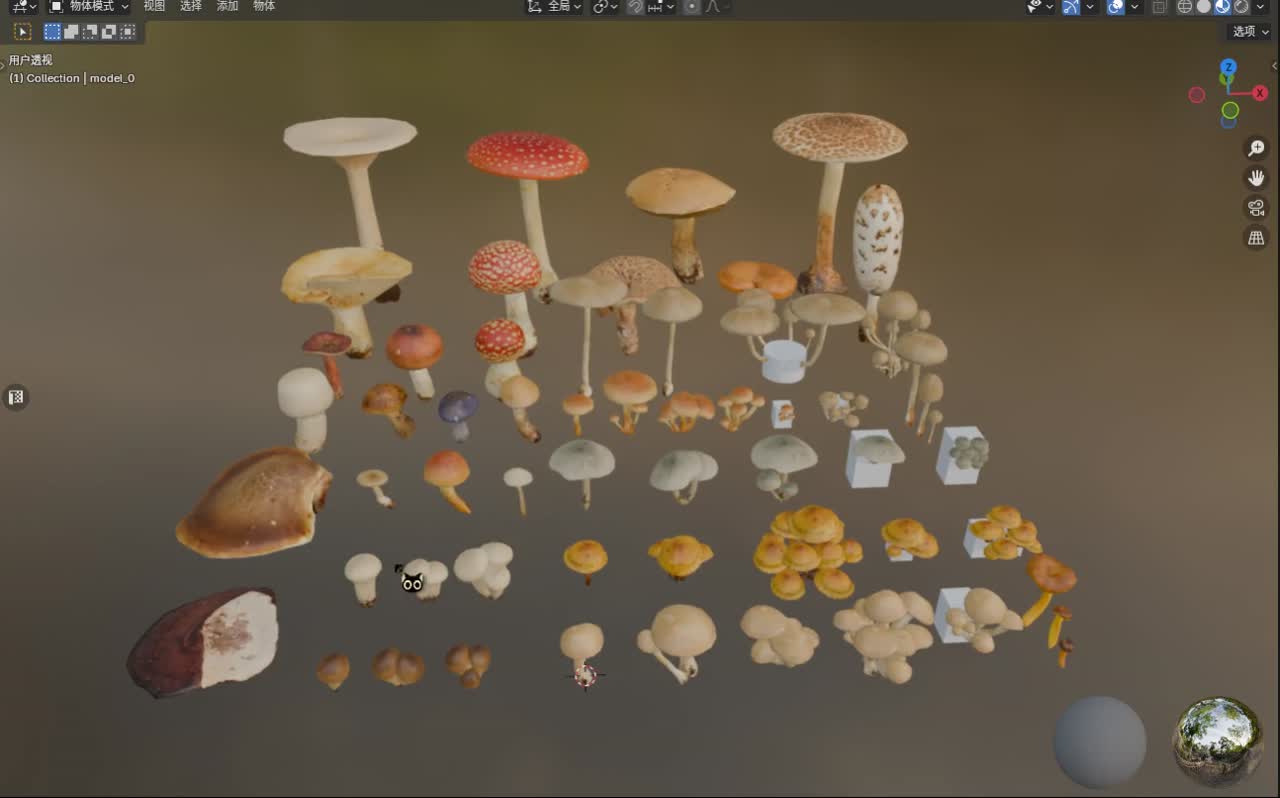写实蘑菇模型 菌菇模型-真菌模型库-Blender(.blend)模型下载-cg模型网